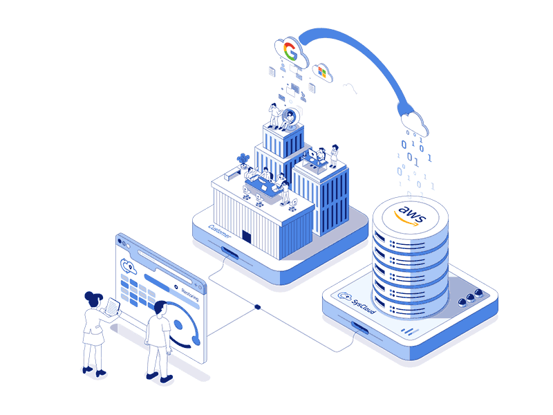 Data Recovery & Backup Solutions